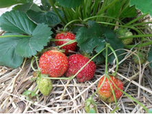 ���� ��������� ����� �� �����.jpeg