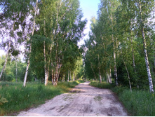 20220723 ��-�������-�� �����������-�������-�� 171433.jpg