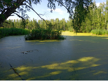 20220723 ��-�������-�� �����������-�������-�� 155110.jpg