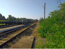 20220723 ��-�������-�� �����������-�������-�� 071301.jpg