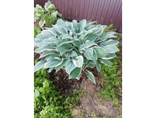 IMG 20210627 194013.jpg