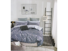 Cassiopea �������� ����������� �����