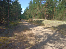 20220814 ������� ���������� ������� 134545.jpg