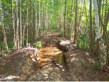 20220814 ������� ���������� ������� 140555.jpg