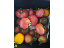 ������� ������� 70 � ��