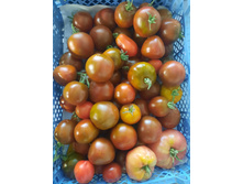 ������� ������� ������� 50 � ��