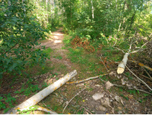 20220814 ������� ���������� ������� 140356.jpg