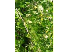 IMG 20220814 102546.jpg