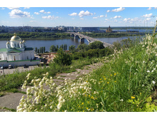 IMG 20220730 145445.jpg