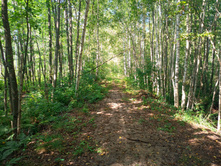 20220814 ������� ���������� ������� 140551.jpg