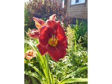 2� ��������. ���� 150�