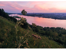 IMG 20220814 195642.jpg