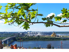 IMG 20220730 151506.jpg