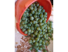 IMG 20220806 091226.jpg