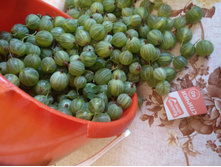 IMG 20220806 091248.jpg