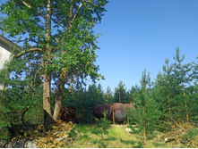 20220723 ��-�������-�� �����������-�������-�� 090239.jpg