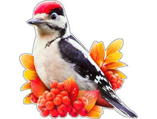 ��������� �� ������ "�����" �-113-450