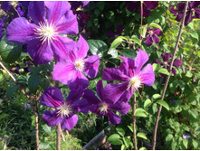 ���� �� �����