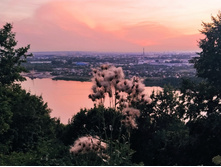 IMG 20220814 195249.jpg