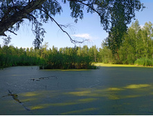 20220723 ��-�������-�� �����������-�������-�� 155128.jpg