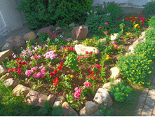 20220723 ��-�������-�� �����������-�������-�� 074148.jpg