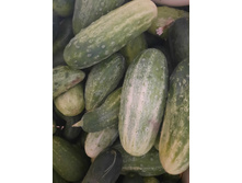 ������ �������� 30 � ��