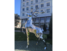 IMG 20220811 133056.jpg