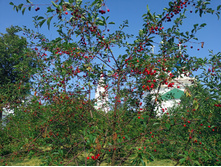 20220723 ��-�������-�� �����������-�������-�� 080224.jpg