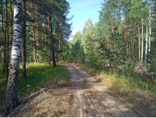 20220814 ������� ���������� ������� 134658.jpg