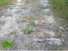 20220723 ��-�������-�� �����������-�������-�� 145935.jpg