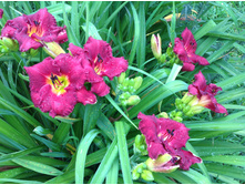 �������