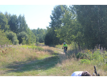 IMG 0617.JPG
