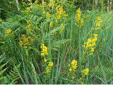 20220723 ��-�������-�� �����������-�������-�� 172212.jpg