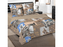 �������������� ����� ���� 150 �� ������+���������