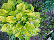 IMG 20220716 182905 1.jpg