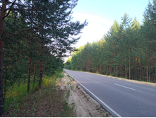 20220723 ��-�������-�� �����������-�������-�� 055535.jpg