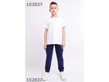 CLE ����� ���. 903345-01� ���� 660+% ������ 38 �� ���� 146, ���� �. �����.jpeg