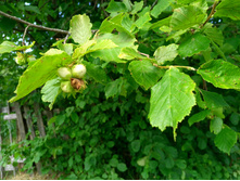 20220723 ��-�������-�� �����������-�������-�� 143536.jpg