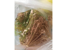 ������� ������.