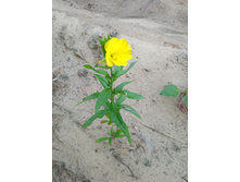 20220723 ��-�������-�� �����������-�������-�� 055501.jpg