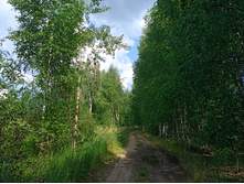 20220723 ��-�������-�� �����������-�������-�� 123452.jpg