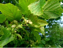 20220723 ��-�������-�� �����������-�������-�� 143531.jpg