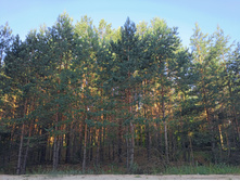 20220723 ��-�������-�� �����������-�������-�� 055521.jpg