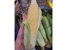 �������� ������� 20 � ��