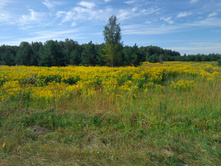 20220820 ������-200 ������� ���������� 093716.jpg