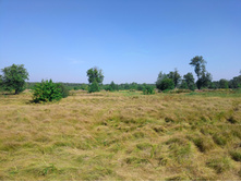 20220821 ����� ����� 110402.jpg