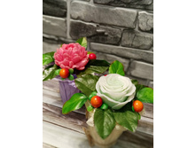 ������-����������