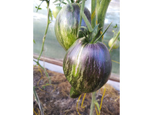 IMG����� �� ������ 4.jpg