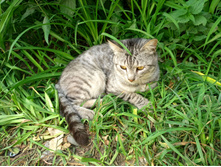 20220827 ��������� � ������� ����� 153731.jpg