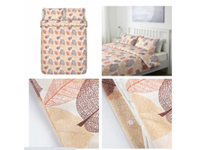 �������� ���� ���������� �����